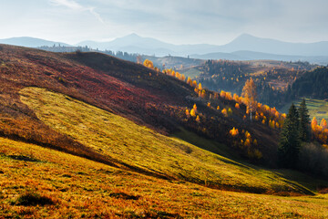 Amazing scene on autumn mountains - obrazy, fototapety, plakaty