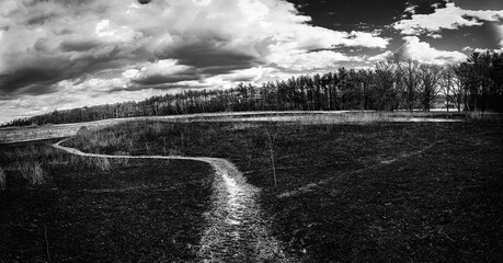 Burnt prairie winter landscape with controlled fire for agriculture in Madison, Wisconsin, USA, a black and white photo