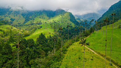 Aerial view of Cocora Valley in Quindío, Colombia, showcasing lush greenery, wax palm trees, and...