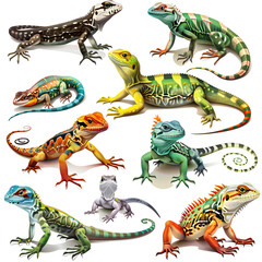 Fototapeta premium Clipart illustration featuring a various of lizard on white background. Suitable for crafting and digital design projects.[A-0001]
