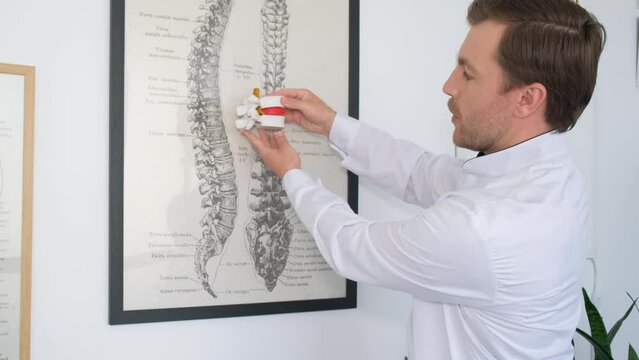 Man holding spine model in front of spine picture A gesture of art and science