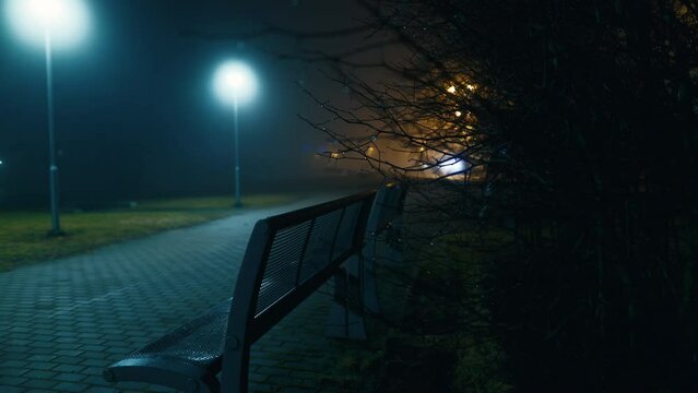 Chilling Parkscape: Traverse a chilling landscape as the park transforms into a realm of glowing lights and eerie fog under the cover of night.