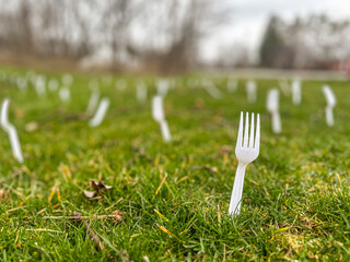 Many white plastic forks planted in lawn, forking, grass, as April Fool joke.
