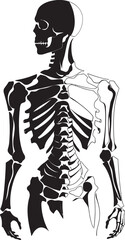 Bone Break Fractured Skeleton Iconic Design Cracked Creations Skeleton Symbol Emblem