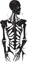 Broken Bones Skeleton Vector Emblem Fracture Fusion Fractured Skeleton Icon Logo