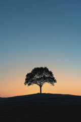 The silhouette of a lone tree on a vast horizon, serving as a testament to the enduring strength found in simplicity amidst complexity.
