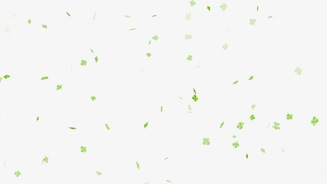 Green Flying Three Four Leaf Clovers St Patrick's Day, ST Patrick's day Leaf clover flying for projects,
Flying clover leaves. St Patrick Day, shamrock st patrick's day. Flying clover leaves. 