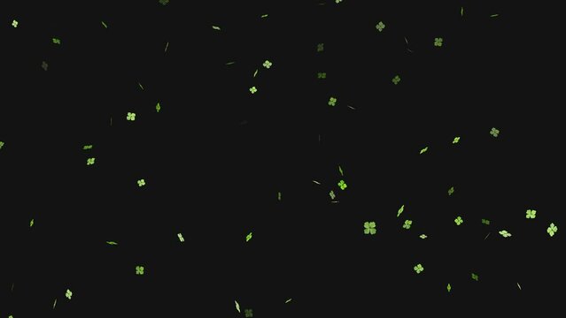 Close up of a Shamrock Animated on blurred background, Flying clover leaves. St Patrick Day,
shamrock patricks day, Four leaf clover flying - seamless looping animation,