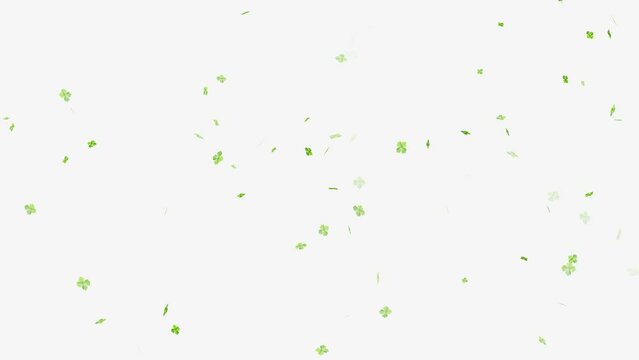 Four leaf clover flying animation, Falling Four Leaf Clovers animation,
Abstract Motion Green Shiny Blurred Four Leaf Clover. ST Patrick's day Leaf clover flying