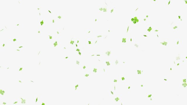 Four leaf clover flying animation, Falling Four Leaf Clovers animation,
Abstract Motion Green Shiny Blurred Four Leaf Clover. ST Patrick's day Leaf clover flying