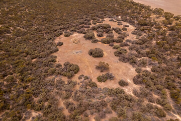 Aerial serenity over NW Victoria's Mallee Desert: a drone's eye view reveals the mesmerizing expanse, showcasing vast solitude and untamed beauty