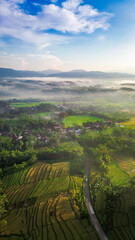 Fototapeta na wymiar Drone view of rice fields terrace in the morning with fogs and sunlight. vertical orientation for wallpaper or agricultural content. 