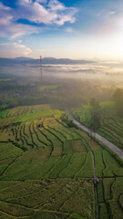 Drone view of rice fields terrace in the morning with fogs and sunlight. vertical orientation for...