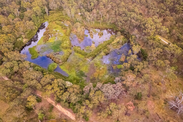 The Clarkesdale Bird Sanctuary is a nature reserve focused on protecting and restoring habitat for woodland birds.