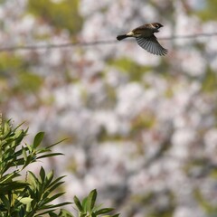 東戸塚のカワウ
