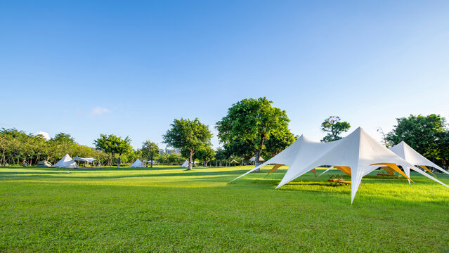 Tents on Camping Grassland in the Park in the Morning
