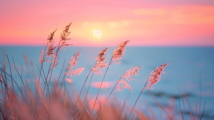 Selective soft focus of beach dry grass, reeds, stalks at pastel sunset light, blurred sea on background. Nature, summer.