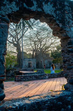 la antigua, casa de hernan, finca, hernan cortes, ramas, arboles, raices, veracruz, amate, chicontepec, portal