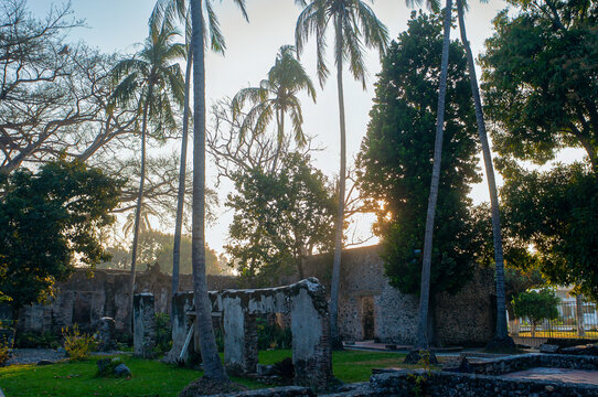 la antigua, casa de hernan, finca, hernan cortes, ramas, arboles, raices, veracruz, amate, chicontepec, portal