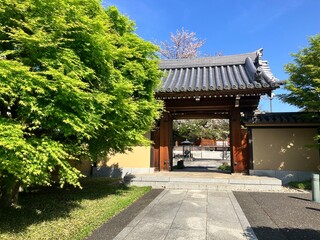 Fototapeta premium 新緑に包まれた寺の境内