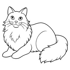vector illustration of a cat. Maine coon cat icon