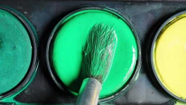 Watercolor paints palette of colors, green is applied to the brush.