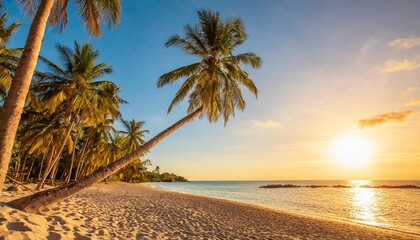 Best island beach. Silhouette palm trees panoramic destination landscape. Inspire sea sand popular vacation tropical beach seascape horizon. Orange gold sunset sky. Calm tranquil relax summer - obrazy, fototapety, plakaty