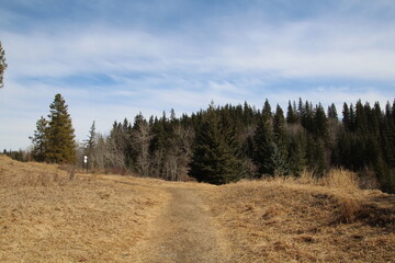 Spring In The Park, Whitemud Park, Edmonton, Alberta
