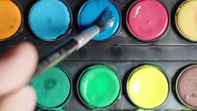 Watercolor paint palette, the artist applies blue color to the brush.