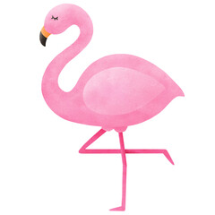 summer pink flamingo © Bewlands