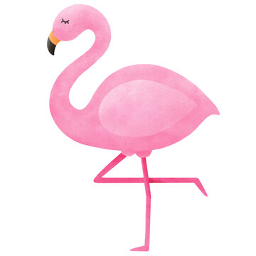 recommend clip art: summer pink flamingo