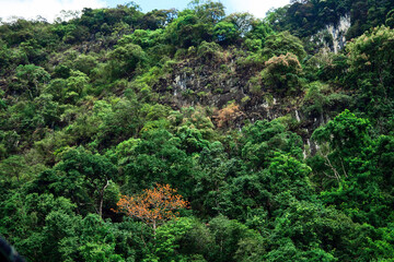 Rocky mountains, lush with trees, rise from the azure water, their cliffs catching the afternoon sun, set against a sky filled with clouds.