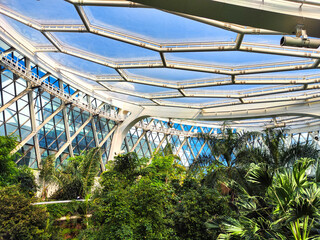 Seoul Botanical Garden. an inside view of the transparent roof behind which the bright blue sky is visible. Colorful tropical vegetation and flowers are visible below