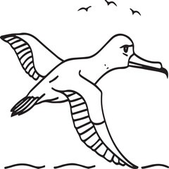 Albatross coloring pages. Albatross outline for coloring book