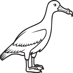 Albatross coloring pages. Albatross outline for coloring book