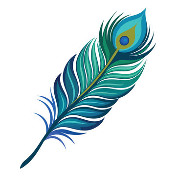 peacock feather vector