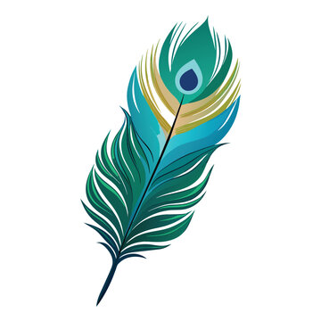 peacock feather vector