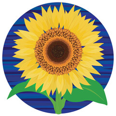 正面向きひまわりのベクターイラスト
