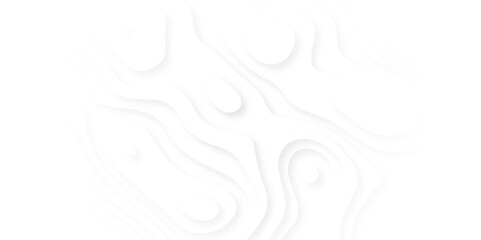 White abstract paper carve template background. wave overlapping with shadow modern concept