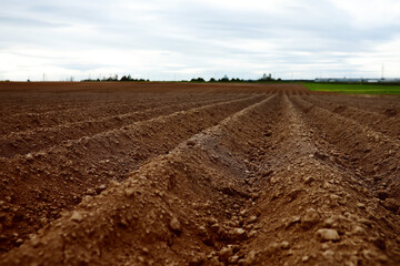Landscape with agricultural land, in slope, recently plowed and prepared for the crop, with a...