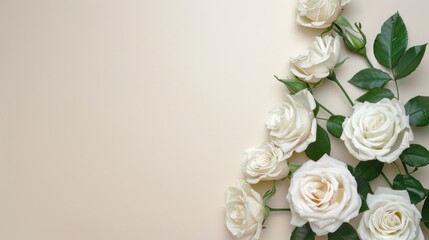 Elegant floral frame of white roses arranged on a clean neutral background