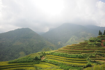 Fototapeta premium the terraces in the north of Viet Nam, Hoang Su Phi