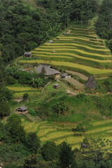 The ladder farms in the north of Vietnam