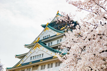 春の大阪城と桜