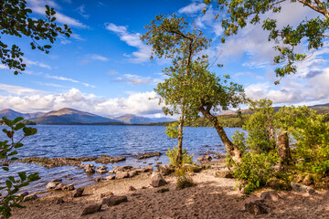 Loch Lomond, a small beach beside the loch,  from the West Highland Way, Stirlingshire, Scotland, UK.
