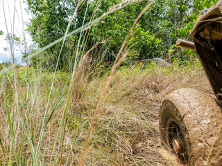 Explore the Palau rainforest on an adventurous ATV