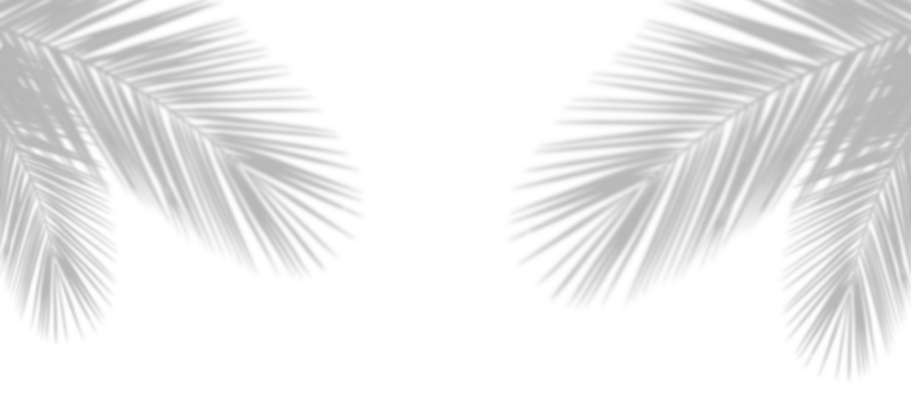 Palm leaf shadow on the corner of transparent banner background. Palm tree branch overlay effect. Shadow of tropical plant leaves. Spring summer design elements