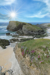 Belle-Ile in Brittany, seascape with rocks and cliffs on the Cote Sauvage, with spring flowers
- 784218760