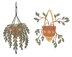 Indoor Hanging and Potted Plants Vector Set - 784221788
