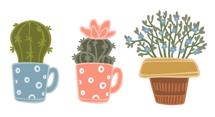 Cacti and Succulents in Colorful Pots Vector - 784222594
